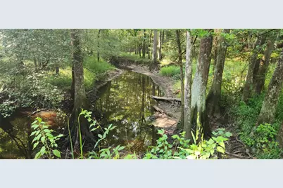 5680 State Highway 43 S, Jefferson, TX 75657 - Photo 14