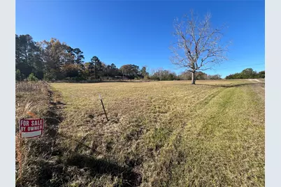 Tbd Grassy Lane, Coldspring, TX 77331 - Photo 4