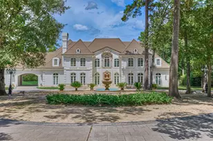 206 N Tranquil Path, The Woodlands, TX 77380 - Photo 1
