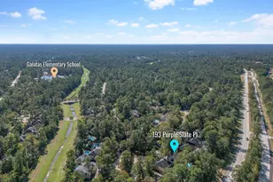 193 Purple Slate Pl, Spring, TX 77381 - Photo 42