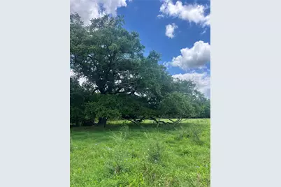 14113 Peters Road, Needville, TX 77461 - Photo 16
