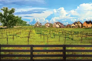 3115 Elderberry Orchard Street, Richmond, TX 77406 - Photo 6