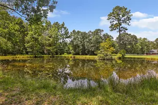 26342 Hill and Dale Ave, Splendora, TX 77372 - Photo 48