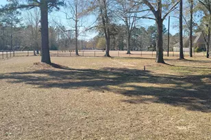 26181 Pecan Grove, Cleveland, TX 77328 - Photo 48