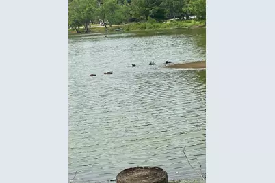 1572 E Pine Lake Circle, Montgomery, TX 77316 - Photo 34