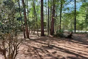 123 Sea Gull Dr, Livingston, TX 77351 - Photo 22