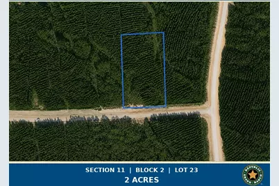 15979 Forest Grove Drive, Willis, TX 77378 - Photo 1