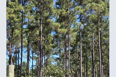 00 Richardson Road E, Livingston, TX 77351 - Photo 6