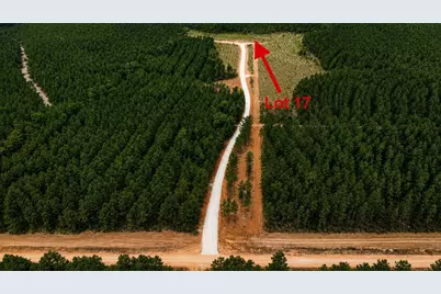 00 Richardson Road E, Livingston, TX 77351 - Photo 2