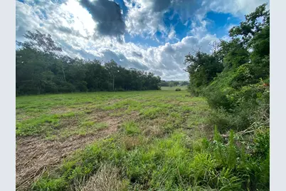 4610 County Road 426, Marquez, TX 77865 - Photo 14