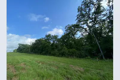 4610 County Road 426, Marquez, TX 77865 - Photo 10