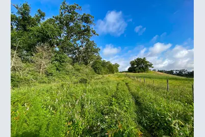4610 County Road 426, Marquez, TX 77865 - Photo 12