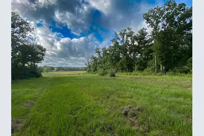 4610 County Road 426, Marquez, TX 77865 - Photo 2