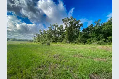 4610 County Road 426, Marquez, TX 77865 - Photo 8