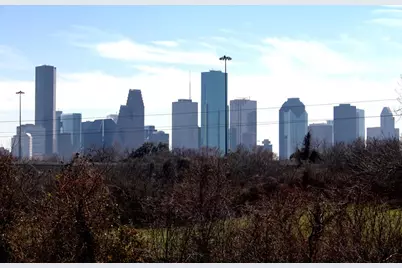734 12th 1/2 Street #A, Houston, TX 77008 - Photo 18