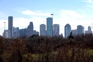 734 12th 1/2 St, Houston, TX 77008 - Photo 18