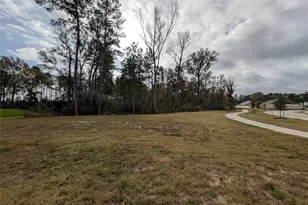 18061 Trepito Ave, New Caney, TX 77357 - Photo 38