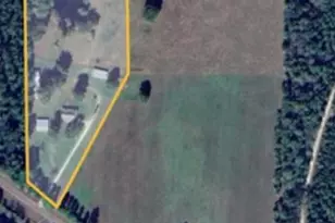 394 Fm 230-2, Trinity, TX 75862 - Photo 34