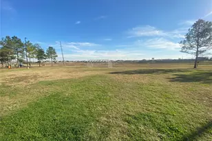 8310 Rose Petals Ln, Rosharon, TX 77583 - Photo 32