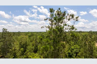 00 Cr 4040, Woodville, TX 75979 - Photo 28