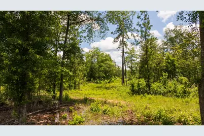 00 Cr 4040, Woodville, TX 75979 - Photo 26