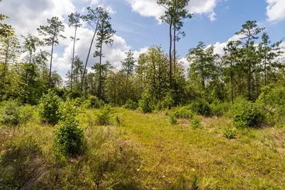 00 Cr 4040, Woodville, TX 75979 - Photo 22
