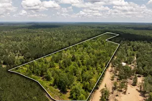 00 Cr 4040, Woodville, TX 75979 - Photo 1