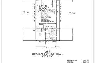 287 Brazen Frst Trl, Magnolia, TX 77354 - Photo 30