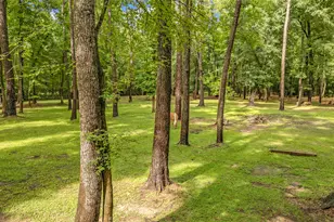 17203 Gold Panning Ct, Magnolia, TX 77355 - Photo 8