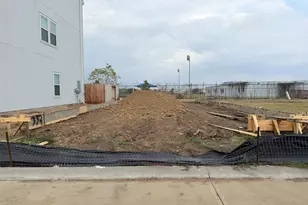 3321 Young Clover Wy, Houston, TX 77047 - Photo 2