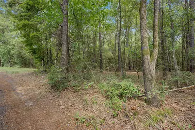 0 Bilnoski Road, Willis, TX 77378 - Photo 30