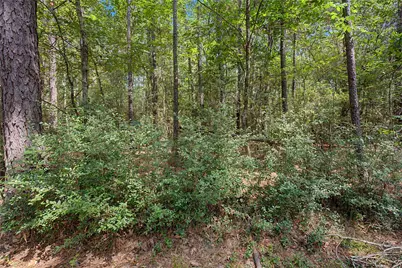 0 Bilnoski Road, Willis, TX 77378 - Photo 34