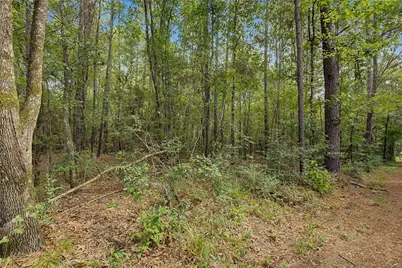 0 Bilnoski Road, Willis, TX 77378 - Photo 32