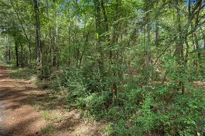 0 Bilnoski Road, Willis, TX 77378 - Photo 36