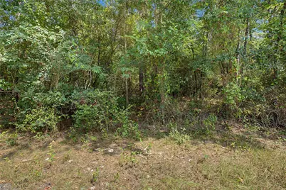 0 Bilnoski Road, Willis, TX 77378 - Photo 28