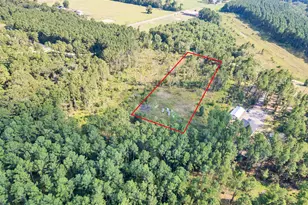 211 Thomas Windt Rd, Shepherd, TX 77371 - Photo 1