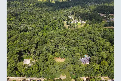 7393 Teaswood Drive, Conroe, TX 77304 - Photo 6
