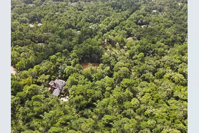 7393 Teaswood Drive, Conroe, TX 77304 - Photo 12