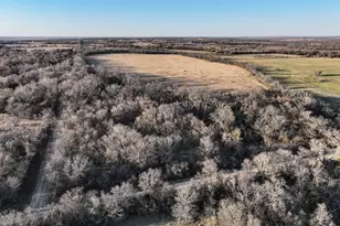 177 County Rd 241, Kosse, TX 76653 - Photo 38