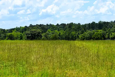8034 E County Road 212, Buffalo, TX 75831 - Photo 14