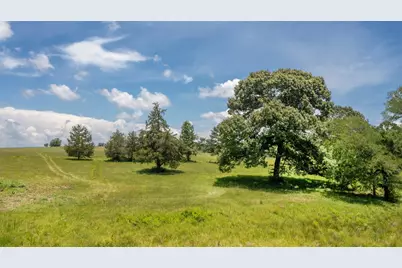 8034 E County Road 212, Buffalo, TX 75831 - Photo 8