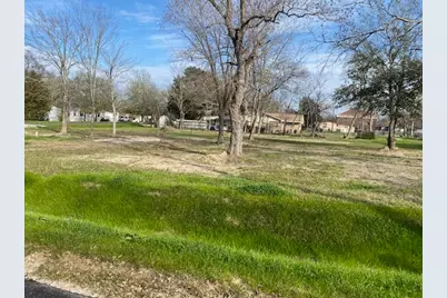 Tbd Plum Street, Bedias, TX 77831 - Photo 2
