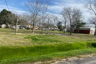 Tbd Plum St, Bedias, TX 77831 - Photo 1
