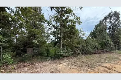 286 Stacy Wiggins Drive, Livingston, TX 77351 - Photo 6