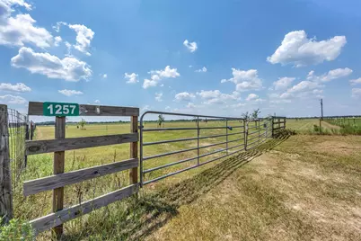 1257 County Road 141, Rock Island, TX 77470 - Photo 2
