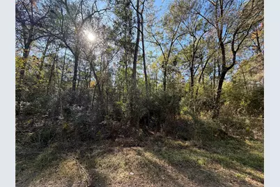 Lot 8A Private Road 2055, Hull, TX 77564 - Photo 2