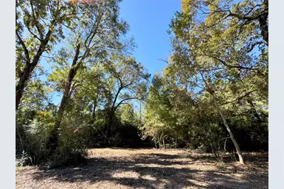 9572 State Highway 146 S, Livingston, TX 77351 - Photo 8