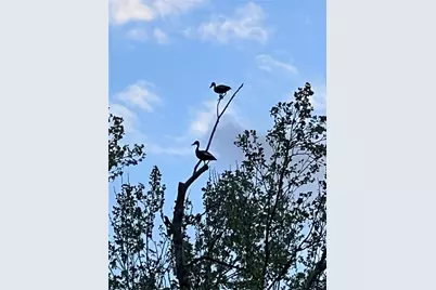 23004-2 Landrum Village Drive, Montgomery, TX 77316 - Photo 48