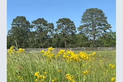 23004-2 Landrum Village Drive, Montgomery, TX 77316 - Photo 38