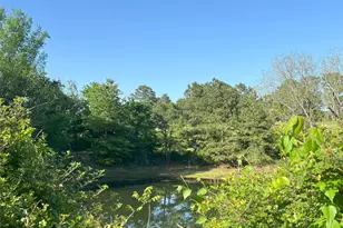 23004-2 Landrum Village Dr, Montgomery, TX 77316 - Photo 44